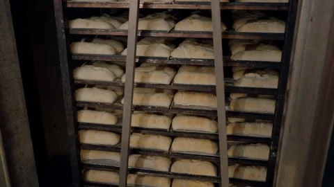 Freshly baked bread rolls rising on racks inside an industrial oven, showcasing Stock Footage 340172380
