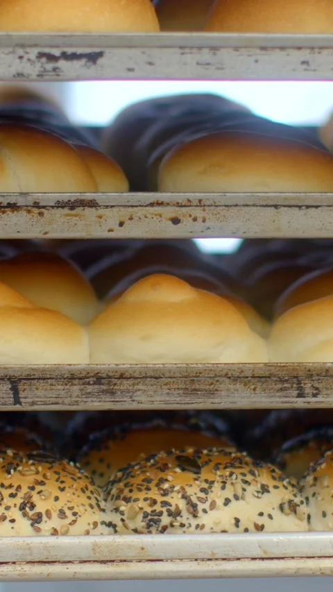Freshly baked bread rolls on stacked metal bakery racks seeded and plain mix Stock Footage 345601237