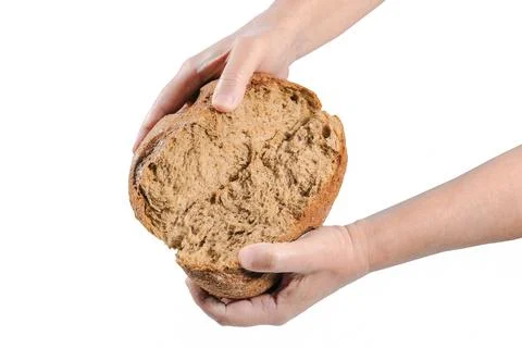 Freshly baked broken bread in the hands of a baker Isolated on a white Stock Photos