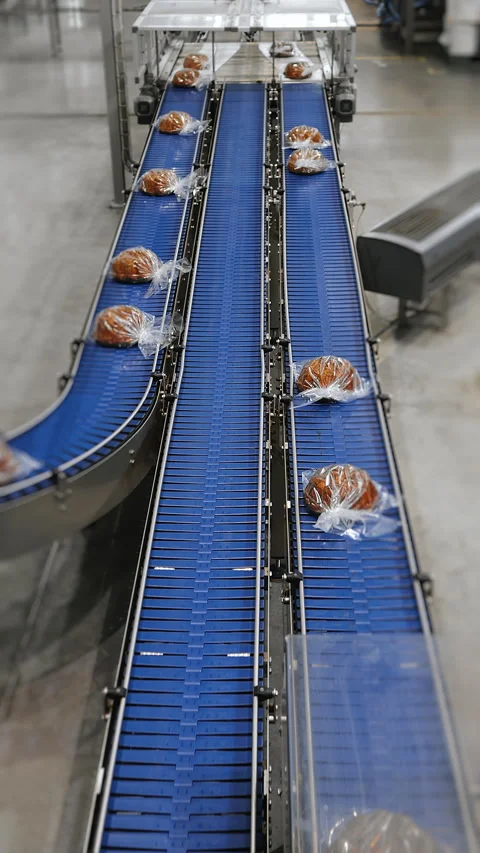 Freshly baked cupcakes move from the oven to the conveyor. Stock Footage 313515744