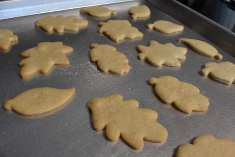 Freshly Baked Leaf Shaped Fall Cookies on a Baking Sheet Stock Photos