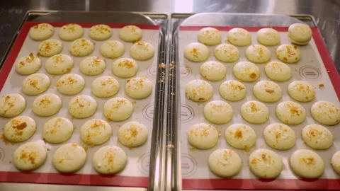 Freshly baked macaroons on a baking sheet. Stock Footage 233299334