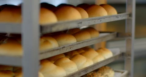Freshly baked rolls and seeded loaves resting on industrial bakery rack in bread Stock Footage 344582999