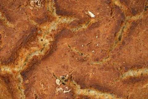Freshly baked rustic bread crust in a close up full frame background Stock Photos