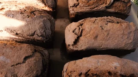 Freshly baked rye bread. Brick shape 動画素材 218316539