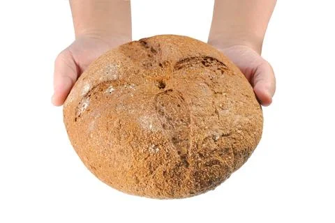 Freshly baked rye bread in hands Isolated on a white background Stock Photos