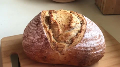 Freshly baked sourdough bread in baking dish rotation Stock Footage 162732801