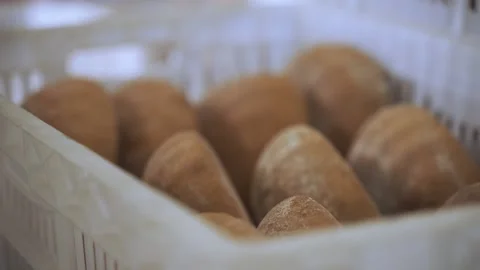Freshly baked wheat bread stacked in white plastic container Stock-Footage 164401628