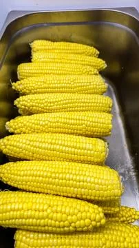 Freshly boiled sweet corn cobs texture closeup vertical pattern 库存照片
