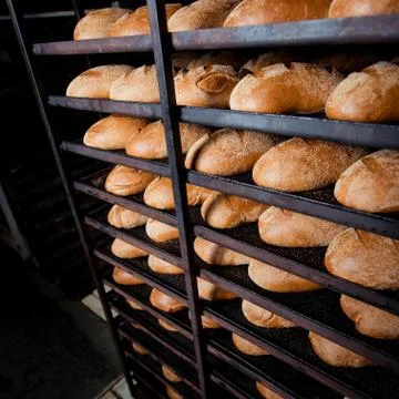 Freshly bread on a baking tray Stock Photos