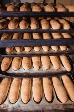 Freshly bread on a baking tray Stock Photos