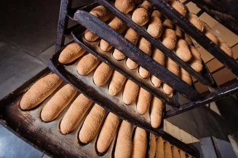 Freshly bread on a baking tray Stock Photos