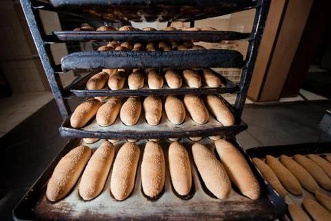 Freshly bread on a baking tray Stock Photos