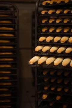 Freshly bread on a baking tray Stock Photos