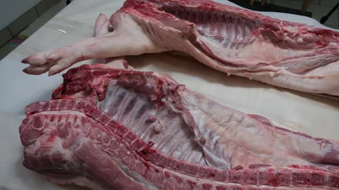 Freshly butchered and processed pig split in half and placed on table 库存影片 255426662