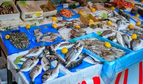 Freshly caught fish and shellfish for sale at farmers market in Nice, France Stock Photos