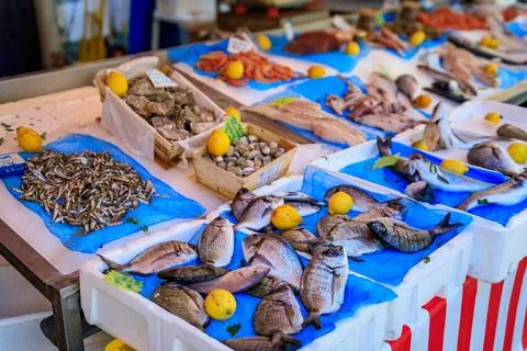Freshly caught fish and shellfish for sale at farmers market in Nice, France Stock Photos