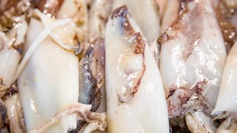 Freshly caught fish at fishmonger on table Stock Photos