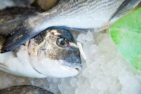 Freshly caught fish at fishmonger on table Foto stock