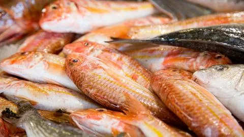 Freshly caught fish at fishmonger on table Stock Photos