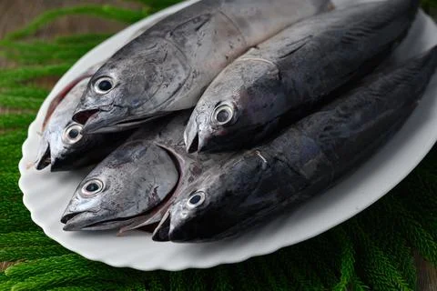 Freshly caught fish, young tuna macro on a white plate, horizontal view Stock Photos