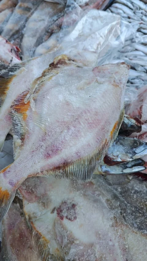Freshly caught flatfish displayed on ice, showcasing the texture and colors of Stock Footage 331861105