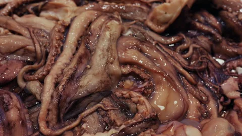 Freshly caught raw calamari tentacles and body pieces creating an abstract Stock Footage 343334223