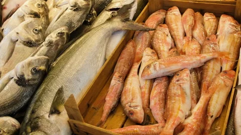 Freshly caught raw sea bream and red mullet fish displayed in wooden crates Video stock 340186372