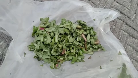 Freshly Chopped Spinach Displayed Directly Before the Camera Stock Footage 346983426
