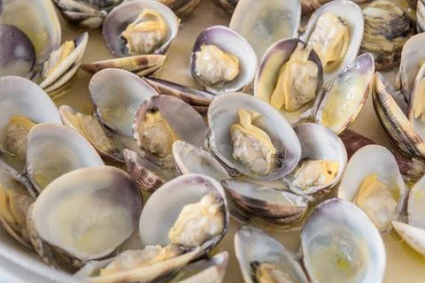 Freshly cooked opened clams shell in a plate. Stock Photos