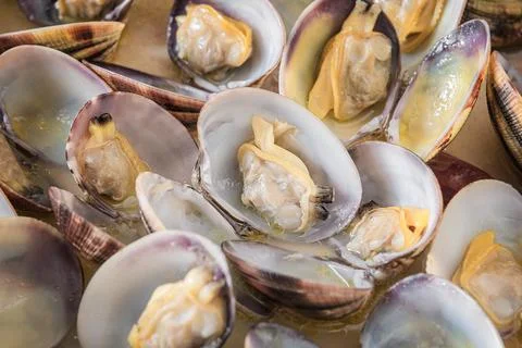 Freshly cooked opened clams shell in a plate. Stock Photos