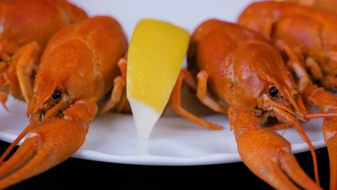 Freshly cooked red crayfishes ready to eat. Stock Footage 125262805