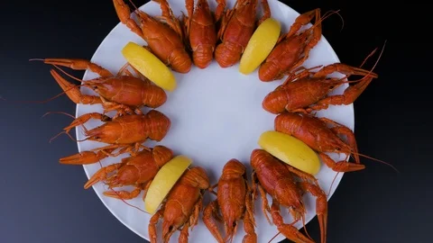 Freshly cooked red crayfishes ready to eat. Stock Footage 125263308