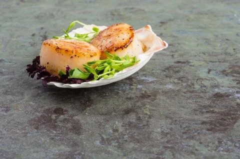 Freshly cooked scallops on a shell 写真素材