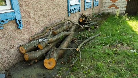 Freshly cut cherry tree logs are piled up against a house wall, ready for winter Stock Photos
