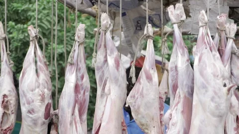 Freshly Cut Meat - Authentic Indian Gobbets for Culinary Delight Stock Footage 316935488