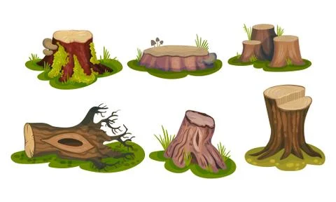 Freshly-cut Stubs and Moss-covered Stumps Standing on Green Patch Vector Set Illustrazione stock