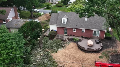 Freshly cut tree stump and scattered wood chips cover backyard behind brick Stock Footage 341690615