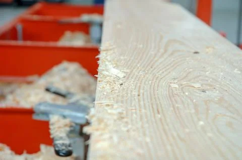 Freshly Cut Wood Texture Stock Photos