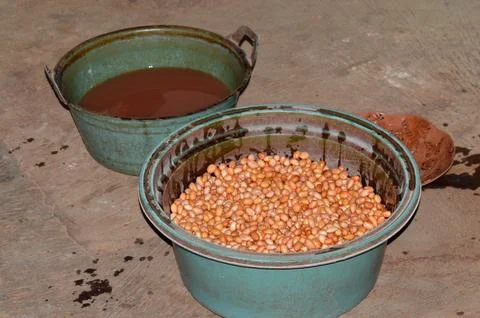 Freshly drained peanuts in a rustic plastic bowl 스톡 사진