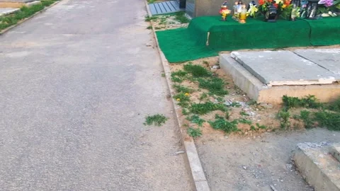 A freshly dug grave in the cemetery Stock Footage 308384803