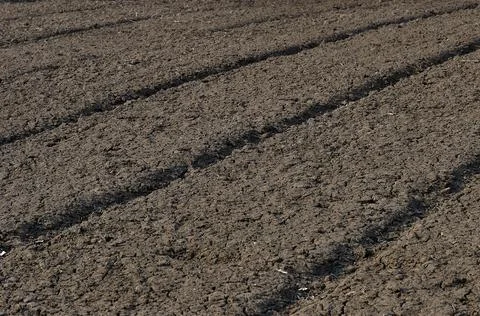 Freshly dug plot on a personal plot. New bed in the form of long strips. Stock Photos