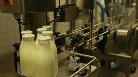 Freshly filled bottles with milk on the conveyor belt Stock Footage 35330853