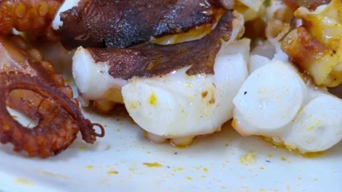 Freshly grilled octopus served on a white plate at a seaside restaurant. Seafood Stock Footage 336843664