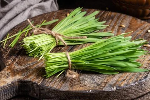 Freshly grown barley grass on a wooden table Stock Photos