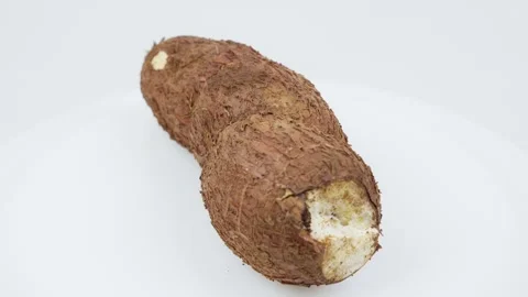 Freshly Harvested Cassava Root Rotating on White Background Stock Footage 324914036