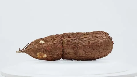 Freshly Harvested Cassava Root Rotating on White Background Stock Footage 324914610