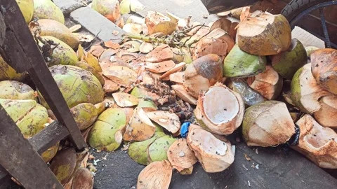 Freshly Harvested Green Coconuts Halved for Sale at a Tropical Market Stock Footage 337760604