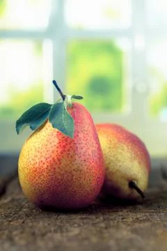 Freshly harvested pears Stock Photos