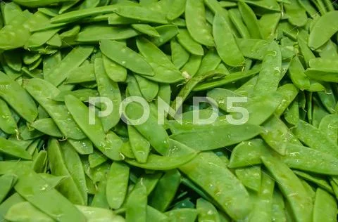 Freshly harvested peas on display at the farmers market Stock Photos